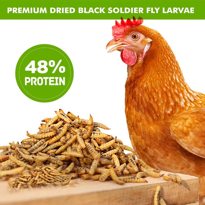 Dried Black Soldier Fly Larvae Chicken Treats – Non-GMO High Protein Dried Grubs for Chickens, Ducks, Turkeys & Reptiles