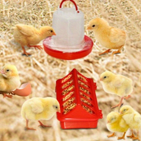 Chicken Brooder Tent Bundle, Chick Playpen Feeder Waterer Perch Kit for Garden, Patio and Yard Use