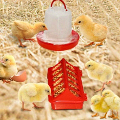 Chicken Brooder Tent Bundle, Chick Playpen Feeder Waterer Perch Kit for Garden, Patio and Yard Use