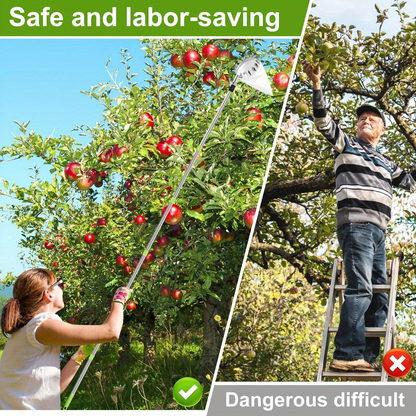 Stainless Steel Fruit Picker with Adjustable 63 to 157 Inch Extension Pole and Non-Slip Handle for Orchard Harvesting