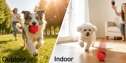 Remote-Controlled Interactive Dog Toy Ball – Self-Rolling Bouncing Ball for Small, Medium & Large Dogs | Indoor & Outdoor Use