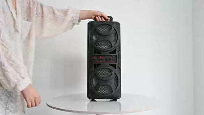 1200W PA Bluetooth Speaker with Wired Microphone & LED Lights, Portable Rechargeable Wireless Speaker