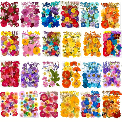 Dried Pressed Flowers Kit 500pcs – Natural Real Flower Petals & Leaves for Resin Art, Nail Art, Jewelry Making, Scrapbooking