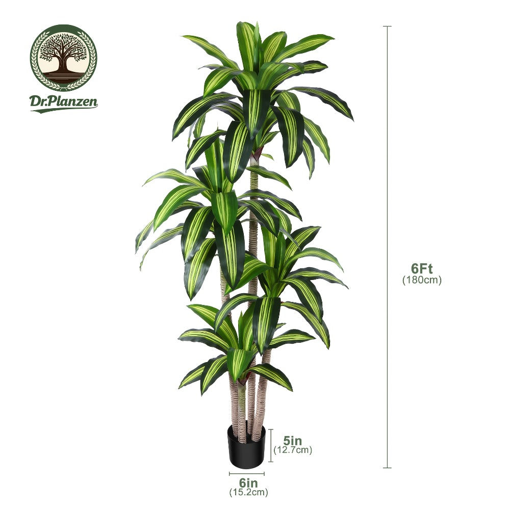 Potted Dracaena Artificial Tree with Complete 4, 5 and 6 ft Height Options and Layered Green Leaf Display