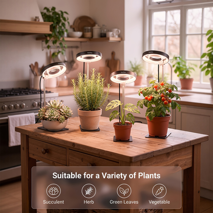 Four-Piece Tabletop Ring LED Plant Lamp Set with USB 3/6/9H Timer, Adjustable Poles and Bases
