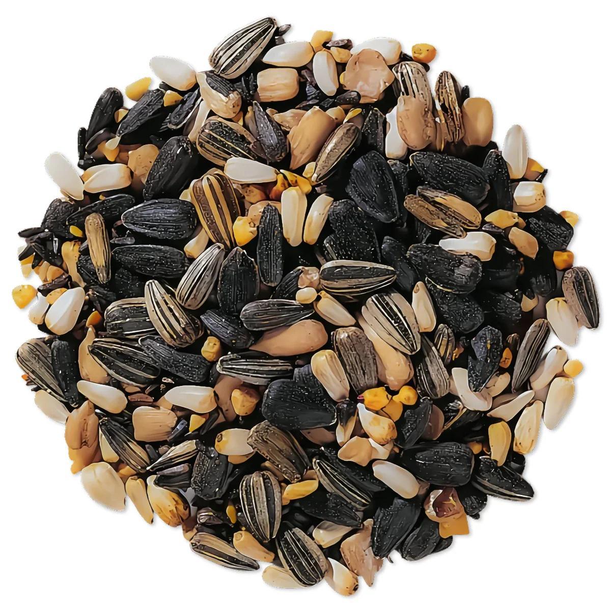 Wild Bird Seed 1 lb Premium No-Filler Mix – Attracts Songbirds, Works in Hanging Feeders, Lawn Stands & Ground Feeders
