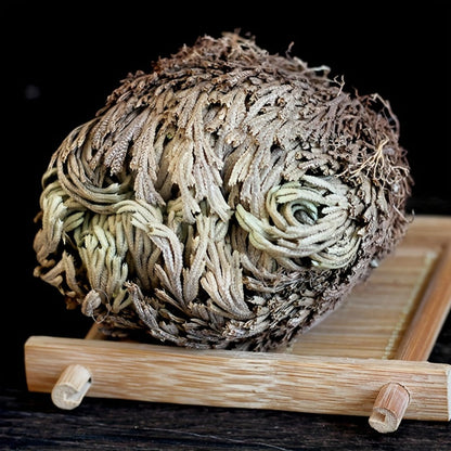 Rose of Jericho 20pcs - Selaginella Lepidophylla Dried Prayer Plants for Spiritual Purification