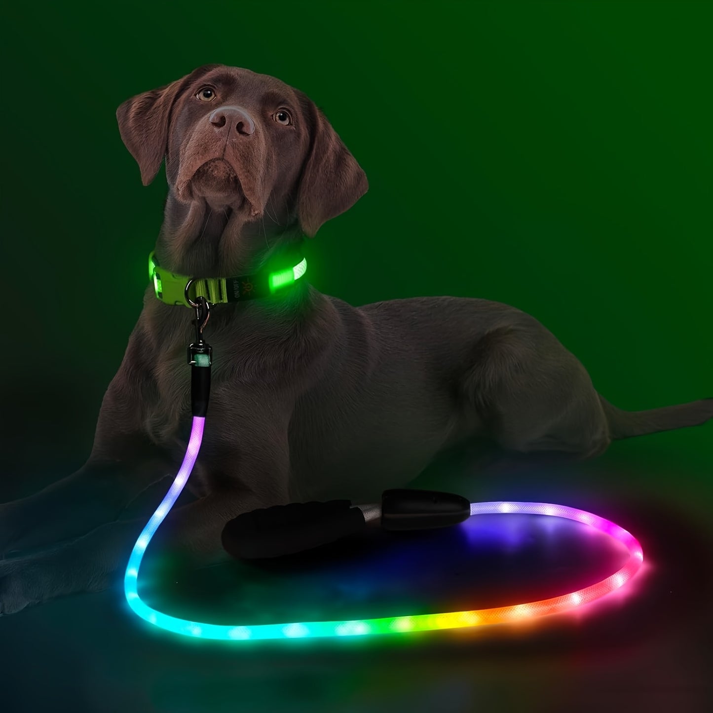 LED Dog Leash Light Up 4FT Rechargeable with 7 Lighting Modes, Glow in the Dark Reflective Double-Sided Lighted Dog Leash
