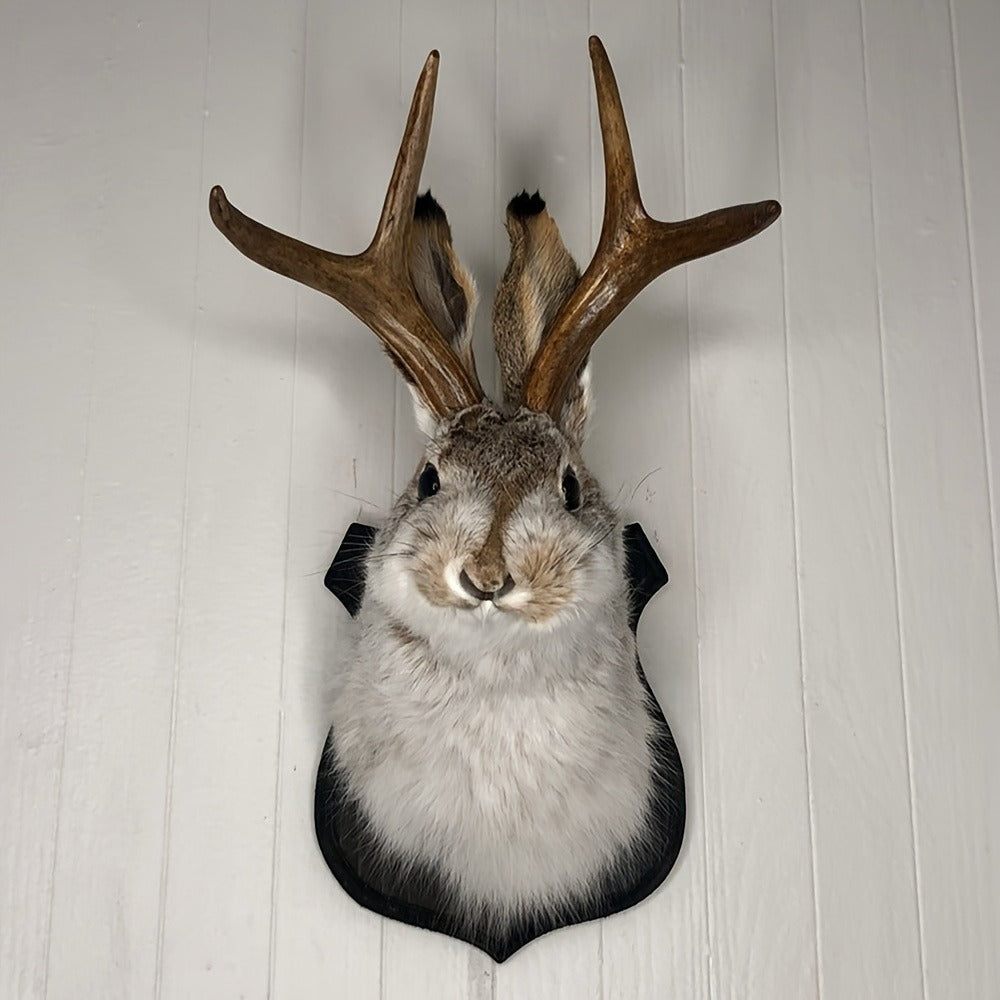 Jackalope Wall Mount Faux Taxidermy Rabbit Head with Antlers - Whimsical 3D Resin Animal Wall Art for Home