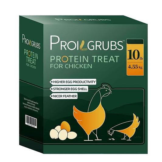 Dried Black Soldier Fly Larvae Chicken Treats Non-GMO High Protein Grubs for Chickens Egg Layer Flock Builder Stronger Eggshells 5lb 10lb