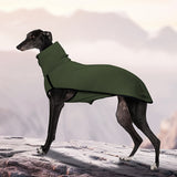 fern green