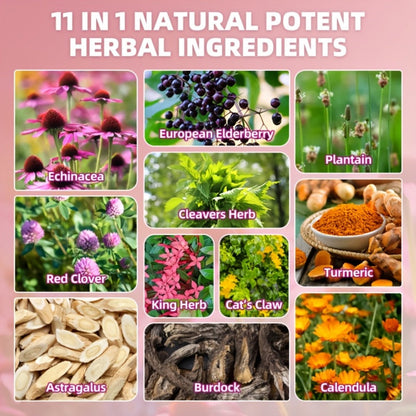 Lymphatic Health Drops 11-in-1 with Echinacea Elderberry Astragalus Burdock Root Dandelion Red Clover 2.03oz