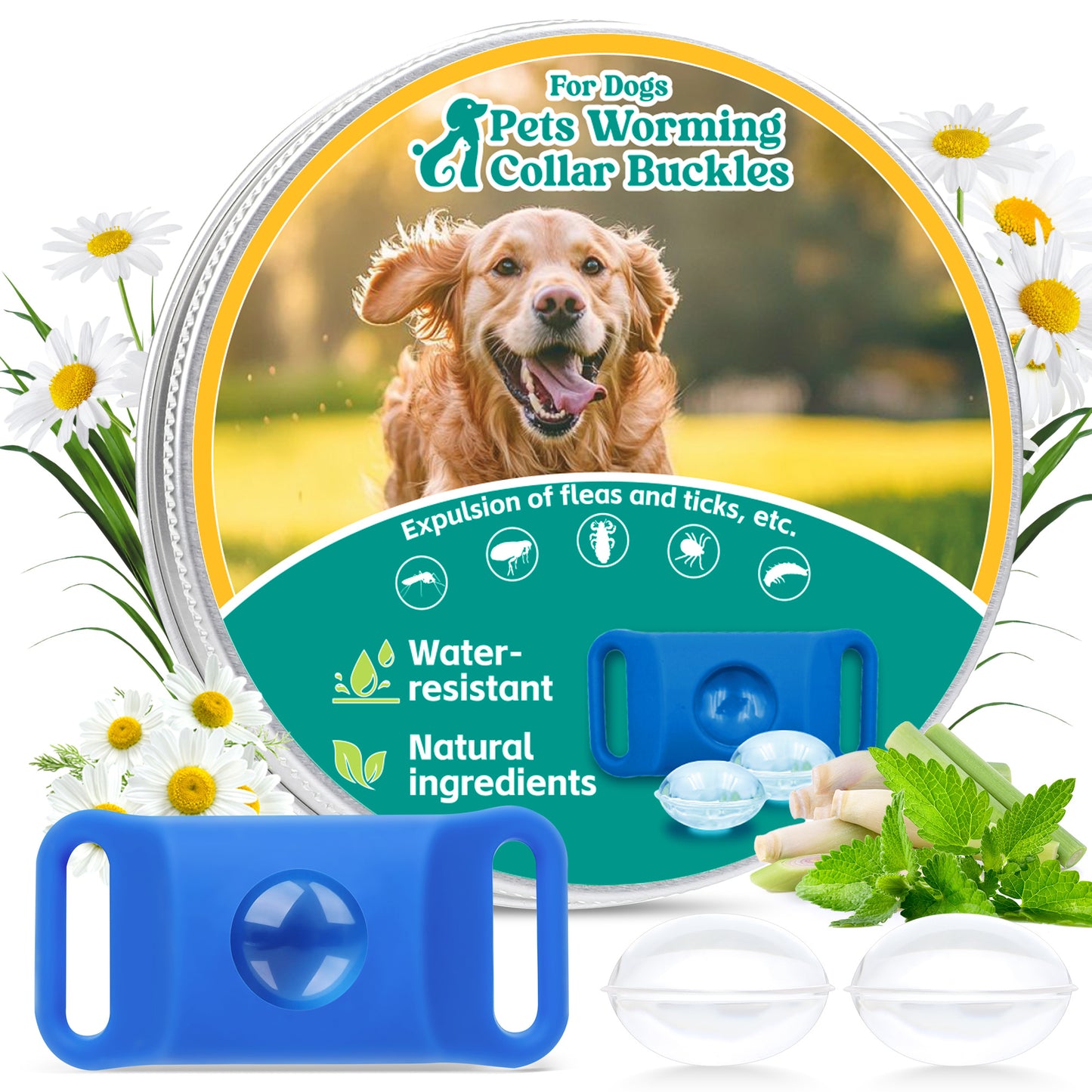 Flea & Tick Repellent Tag for Dogs – Natural Peppermint Essential Oil Capsules, 24/7 Chemical-Free Protection for Indoor & Outdoor Use