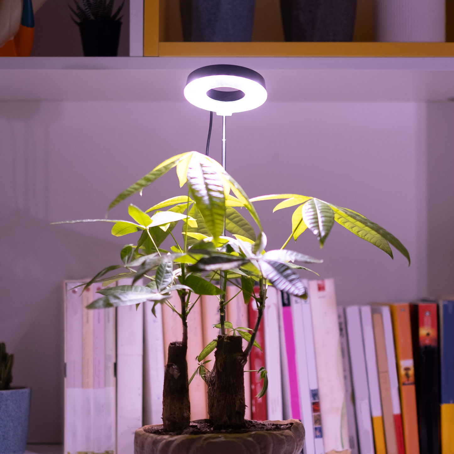 Magnetic Grow Light with 360° Adjustable Head – Full Spectrum Plant Growth Lamp with Auto Timer, 4-Level Dimmer & Adjustable Height