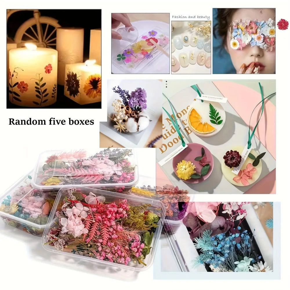 Four-Box Mixed Dried Flower Set with Assorted Colors and Small Botanical Pieces for Craft Decoration