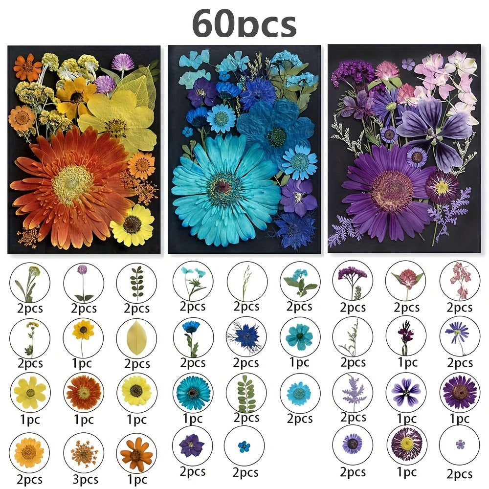 Dried Pressed Flowers for Resin 60pcs Real Pressed Flowers Dry Leaves Bulk Natural Herbs Kit for Scrapbooking DIY Art Crafts