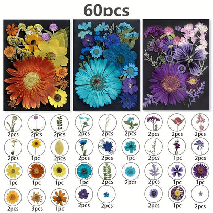 Dried Pressed Flowers for Resin 60pcs Real Pressed Flowers Dry Leaves Bulk Natural Herbs Kit for Scrapbooking DIY Art Crafts
