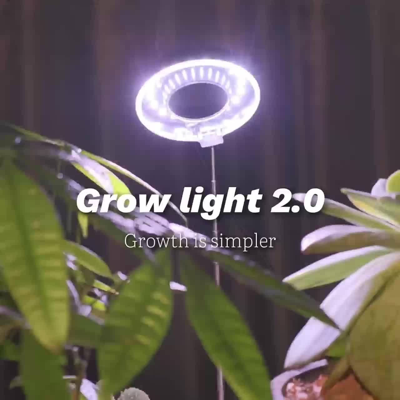 Four-Piece Tabletop Ring LED Plant Lamp Set with USB 3/6/9H Timer, Adjustable Poles and Bases