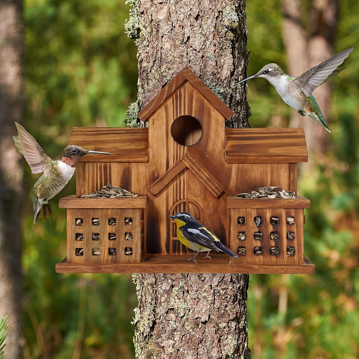 Hummingbird House Outdoor Large Birdhouse with Feeder, 3-Hole Natural Handmade Wood Bird House for Bluebird, Backyard Garden Decor