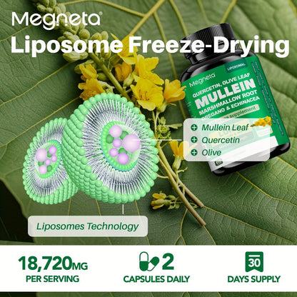 Mullein Leaf Lung Health Supplement with Quercetin, Bromelain, Vitamin C & D3, Zinc & Selenium