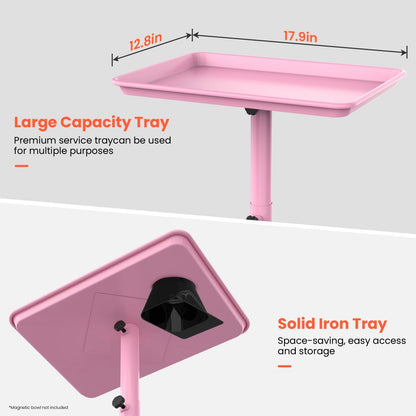 Rolling Salon Tray Cart on Wheels Adjustable Height 17.9x12.8 Inch Mobile Stylist Tray Table for Spa Tattoo Studio Blowdry Bar Aesthetic
