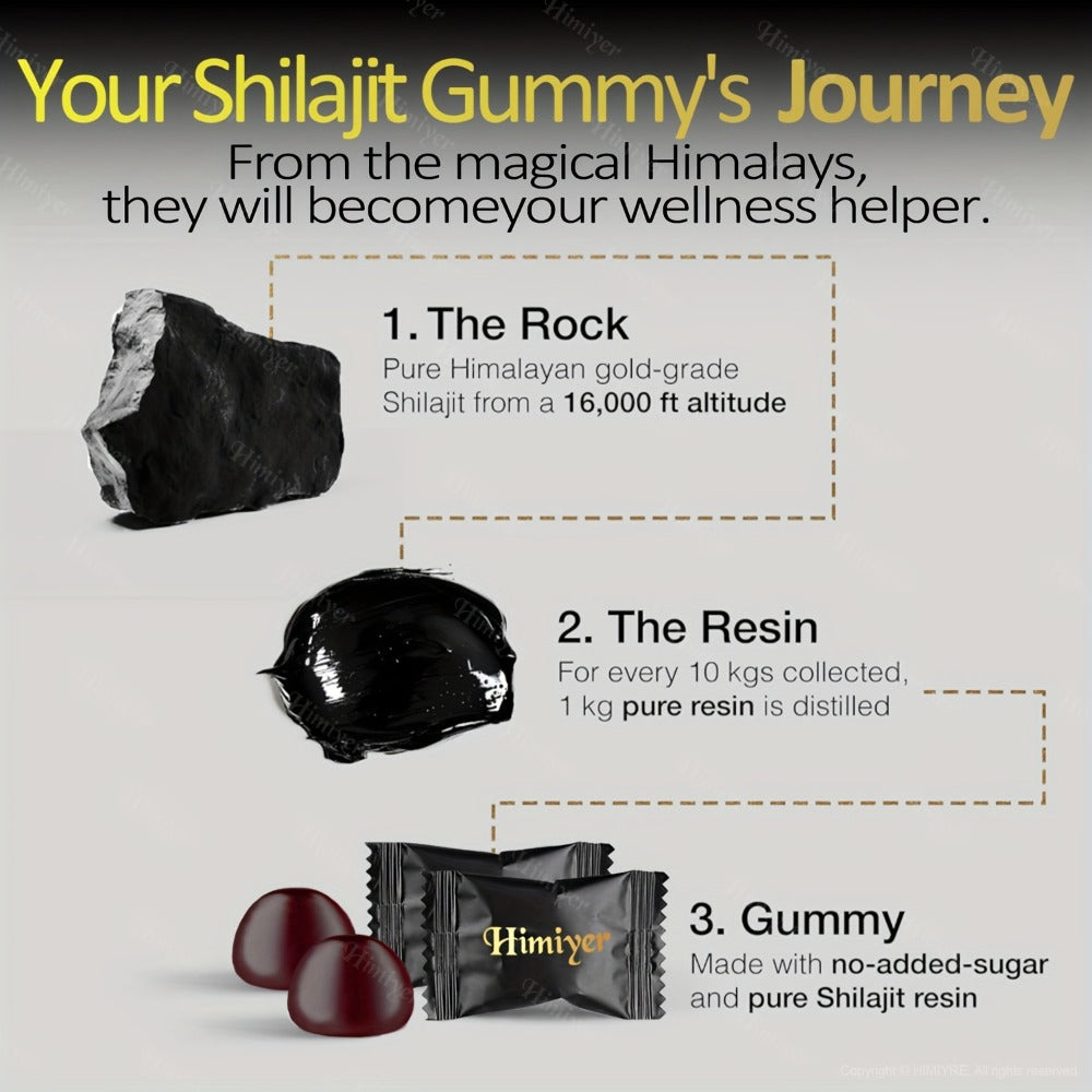 Shilajit Supplement 3000mg with Ginger, Ginseng & Ashwagandha – Pure Fulvic Acid & Multi-Mineral Phytonutrient Formula for Energy, Vitality