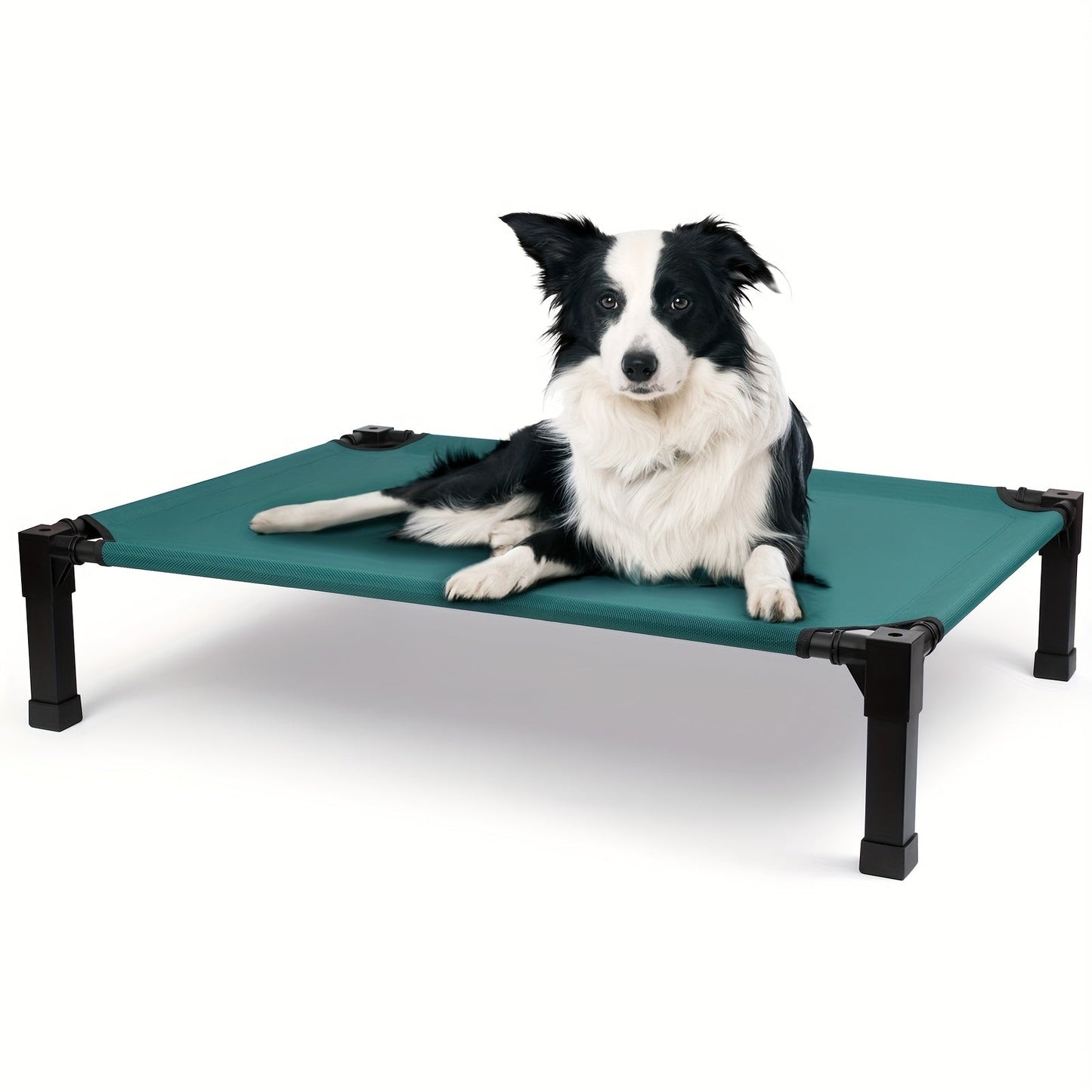 Elevated Pet Cot with Metal Frame, Textilene-Labeled Mesh Deck, Four Sizes and Seven Colors