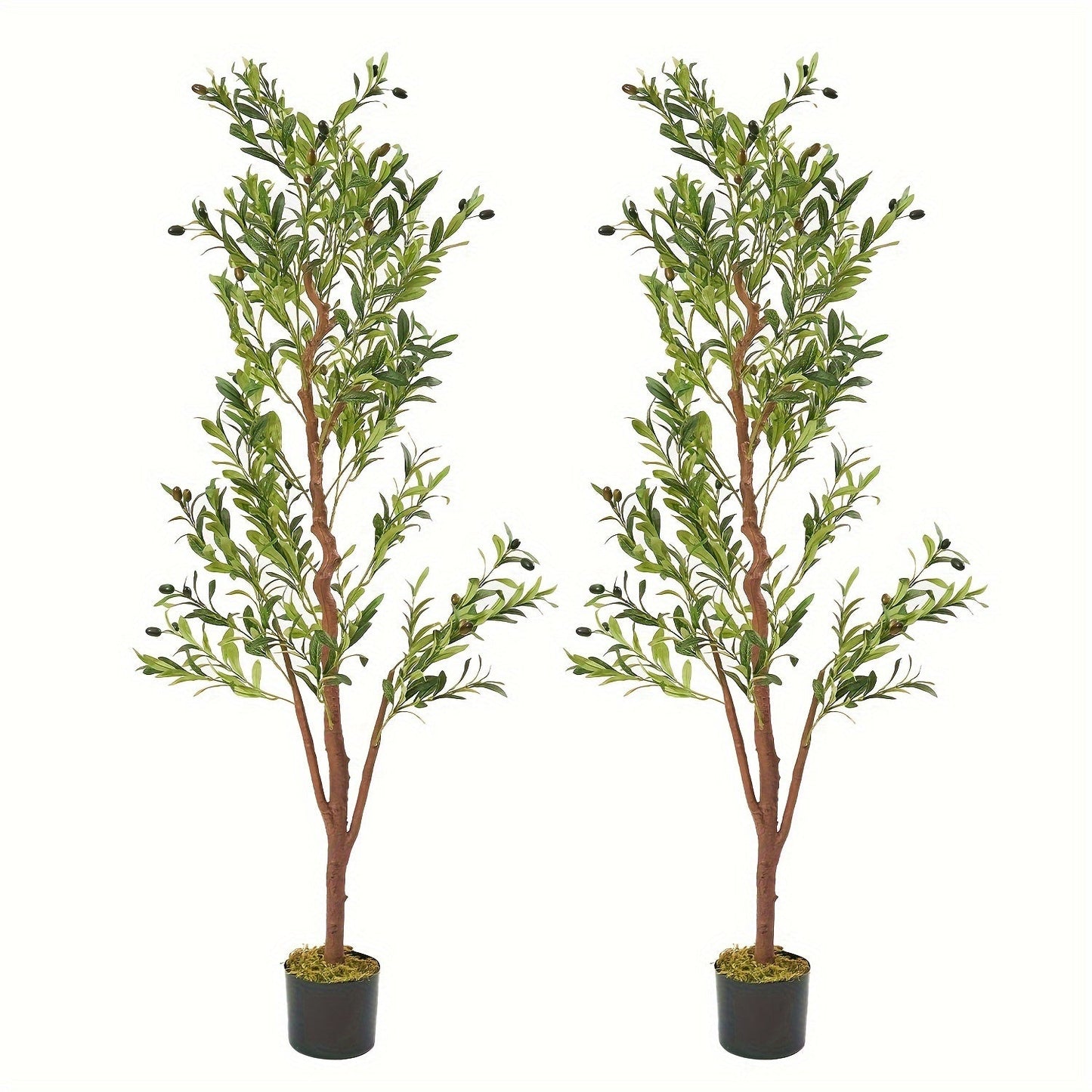 Artificial Olive Tree with Potted Trunk in 5, 6 or 7 Foot Heights and Single or Two-Piece Packs