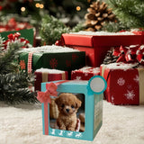 G1 (Gift Box)