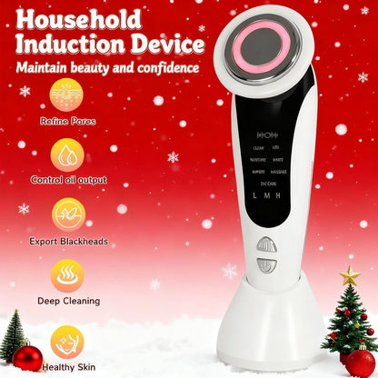 4-in-1 LED Face Neck Massager USB Powered Vibration Facial Lifting Device - Handle Portable Beauty Tool for Home or Salon Spa Use