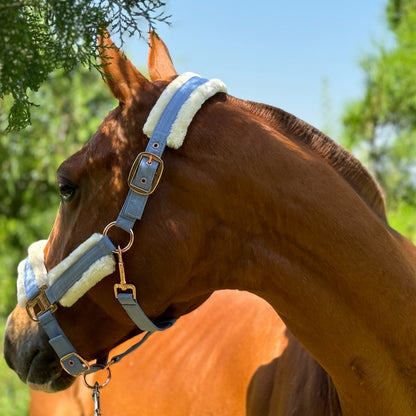 Horse Halter with Detachable Faux Fur Band & Glossy Buckle – Adjustable Head Collar for Horses, Available in 15 Colors & 3 Sizes FULL COB