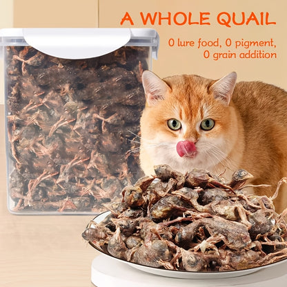 Air-Dried Whole Quail Cat Treats 70g – High Protein Natural Raw Diet Snack, Ready to Serve, No Cooking Required