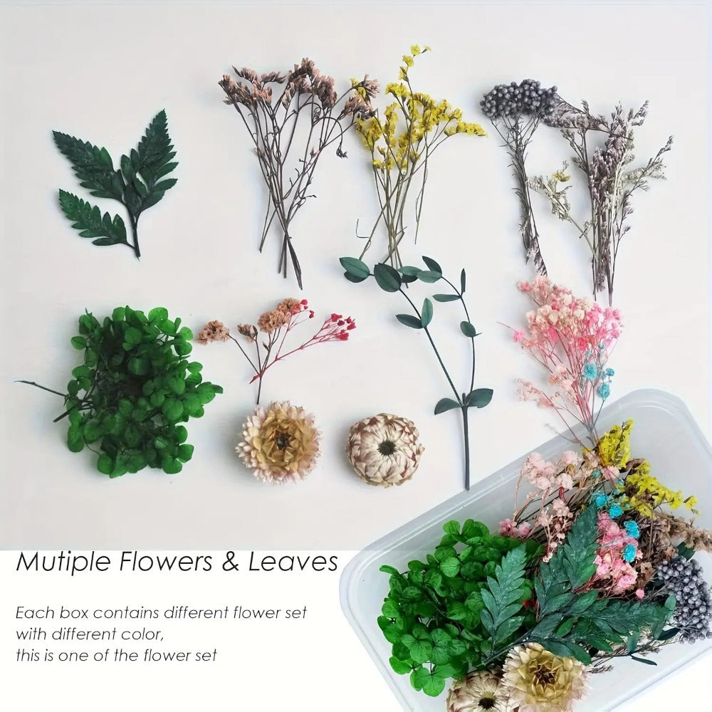 Four-Box Mixed Dried Flower Set with Assorted Colors and Small Botanical Pieces for Craft Decoration