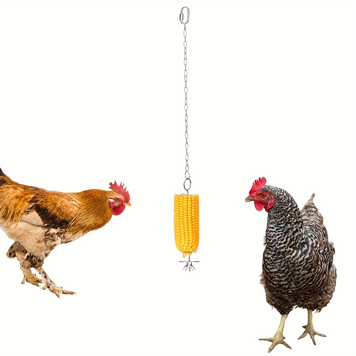 Chicken Feeder Skewer Stainless Steel Hanging Fruit Veggie Double Nut for Grilling, Camping and Outdoor Meals