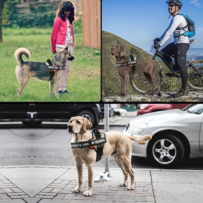 Emotional Support Dog Harness No-Pull Reflective Vest with Handle – Adjustable No-Choke ESA Pet Harness for Easy Walking & Training