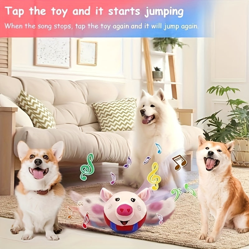 Dog Toy USB-Rechargeable Bouncing Character Ball with Recording and Music Modes in Five Styles