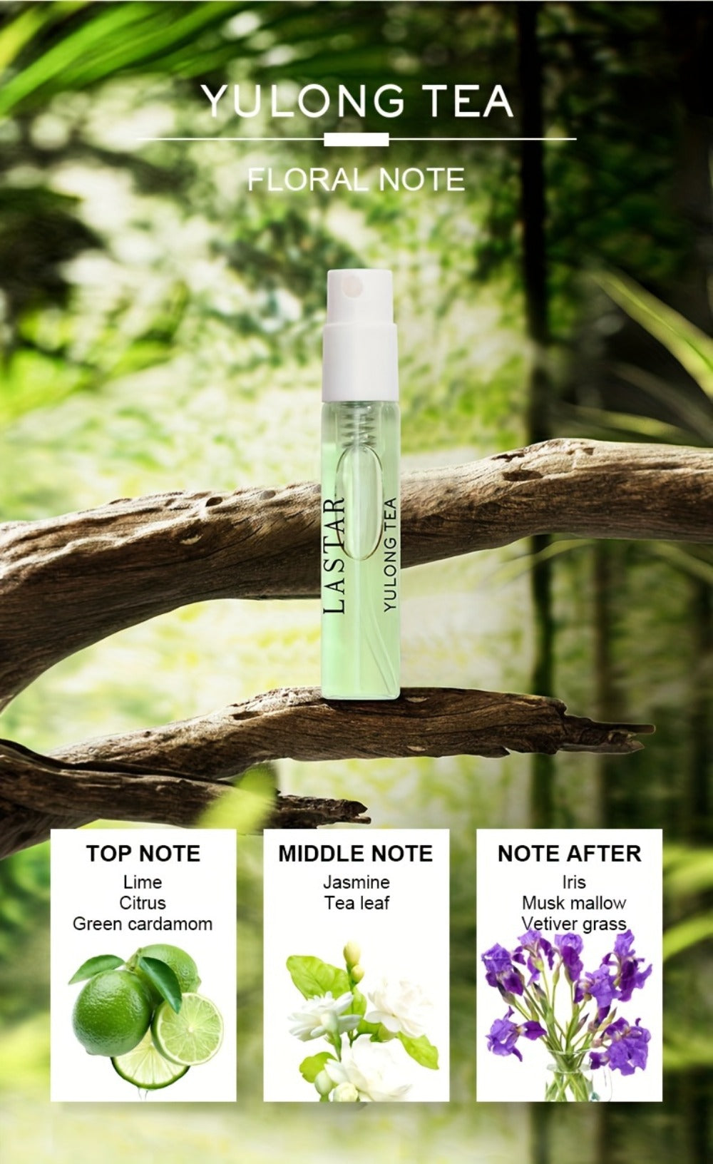 Mini Perfume Set for Women 8 Piece Gift Box Woody Floral Fruity Fragrance Sampler Kit Long Lasting TSA Compliant Travel Friendly 0.81oz Each