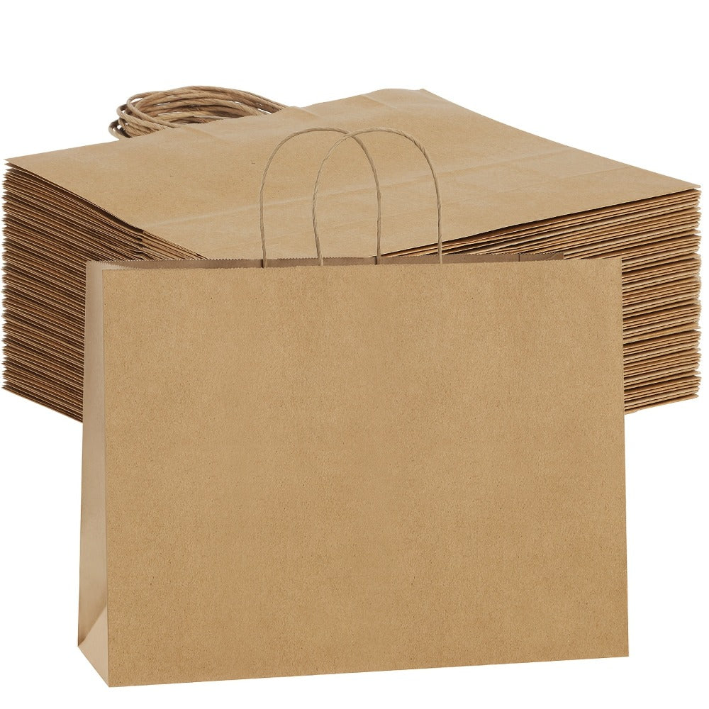 Shopping Bags with Handles 49pcs | 16x6x12 Inch Large Retail Gift Bags Bulk | Clothing Boutique Bags for Birthday, Wedding, Mother's Day