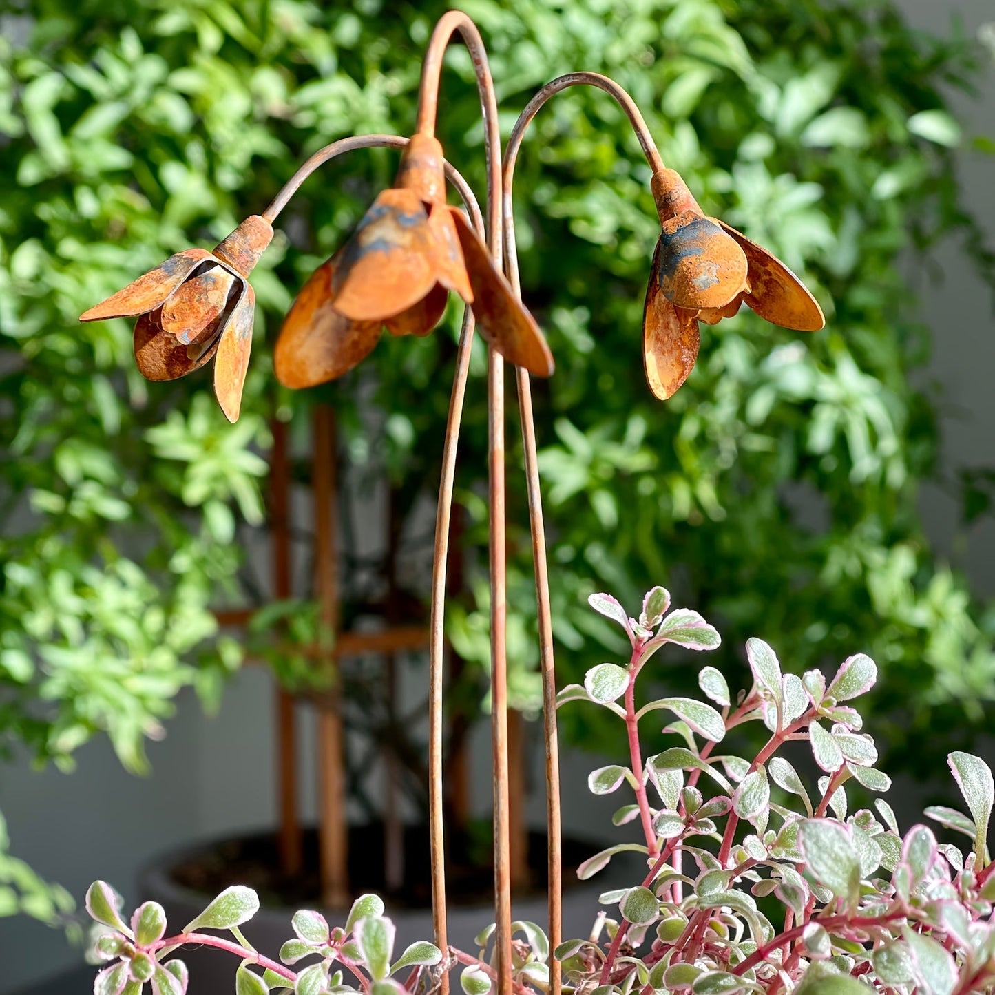 Rustic Metal Snowdrop Garden Stakes, Three-Piece Curved Flower Set with 25 cm Stems for Pots and Borders