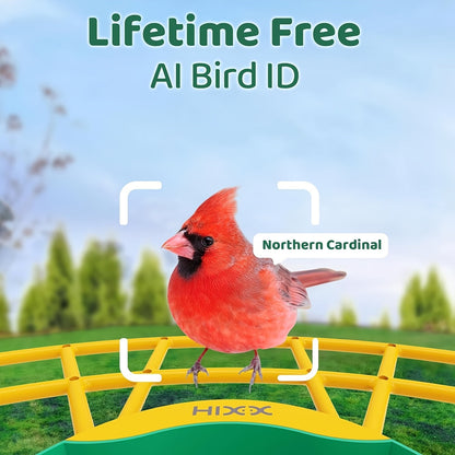 Smart Bird Feeder with Camera AI Bird Identification, 2K HD Live View, Auto Capture & Color Night Vision