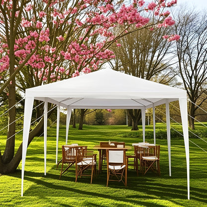 10x30ft Outdoor Party Tent Canopy with 5 Removable Sidewalls for Garden, Patio and Yard Use