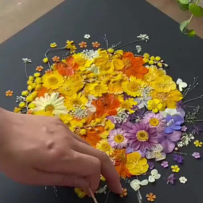 Dried Pressed Flowers Kit 500pcs – Natural Real Flower Petals & Leaves for Resin Art, Nail Art, Jewelry Making, Scrapbooking