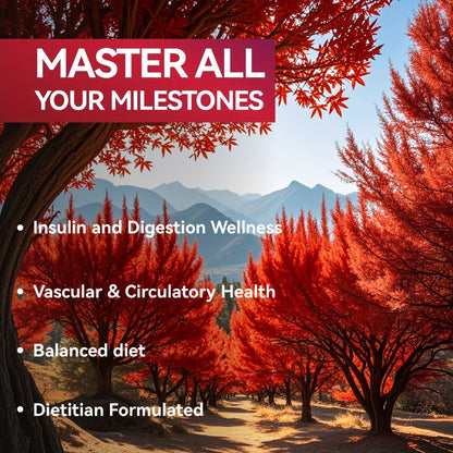 Berberine with Ceylon Cinnamon, Turmeric & Black Pepper, Premium Blood Sugar Support, Vascular Health & Digestive Wellness Capsules