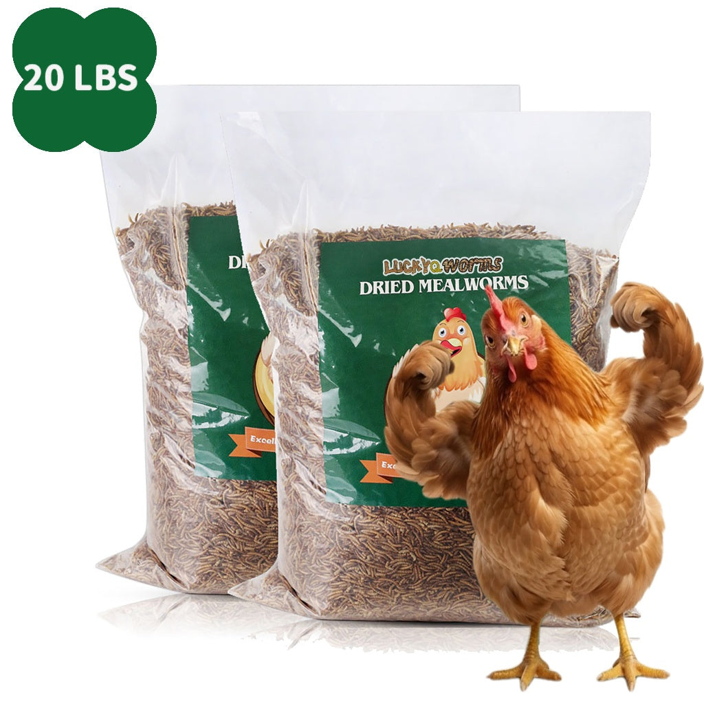 Dried Mealworms High Protein Animal Feed – Natural Insect Treats for Chickens Wild Birds Hens Ducks Turtles Fish Lizards Hamsters