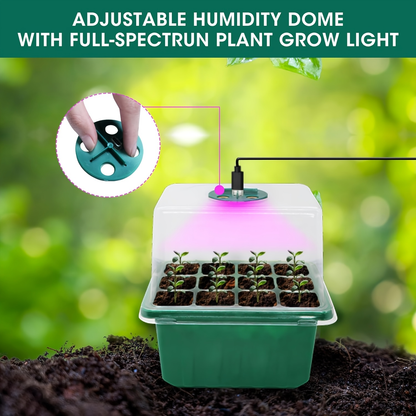 Seed Starter Kit 6-Pack with Grow Light Timing Controller, Adjustable Brightness Thickened Humidity Dome Heightened Lid