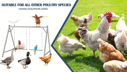 Chicken Swing Coop Toy Metal Perch for Backyard Hens Roosters Parrots Rabbits Promotes Exercise Balance for Garden, Patio and Yard Use
