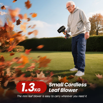 21V Cordless Leaf Blower in Black with 40, 000 RPM Marking, Two Battery Packs, Charger Cable and Nozzle Pieces