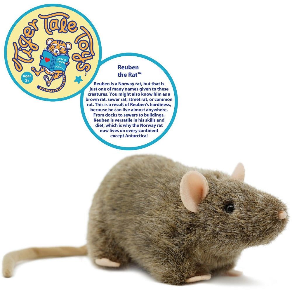 Plush Toy Reuben Realistic Brown Rat 7-Inch Stuffed Animal with Story Card for Character Display, Room Decor and Gift Presentation