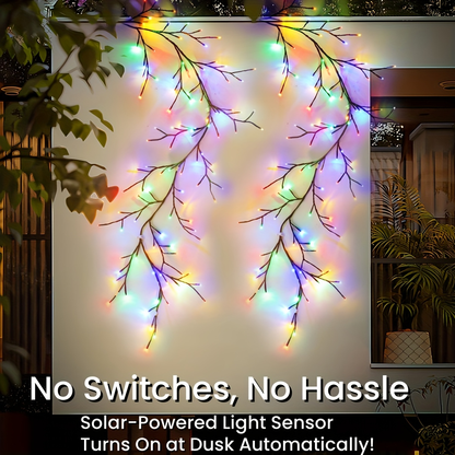 Solar Willow Vine Fairy Lights 96 LED 8 Modes 5.9ft, for Garden, Pathway and Patio Lighting