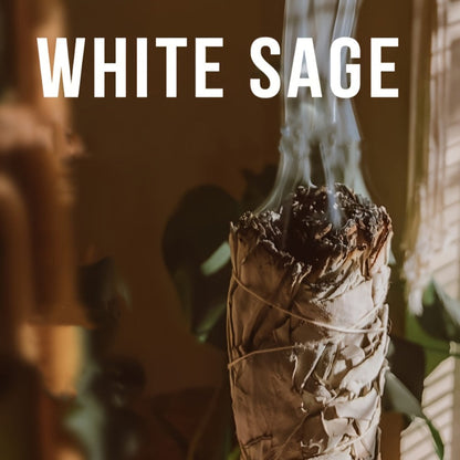 Sage Smudge Kit 5 Pack White Sage Cedarwood Dragon's Blood Eucalyptus Lavender Incense Sticks for Entryways, Bedrooms and Living Spaces